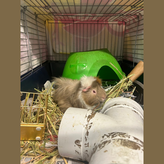 Photo of Eddy
