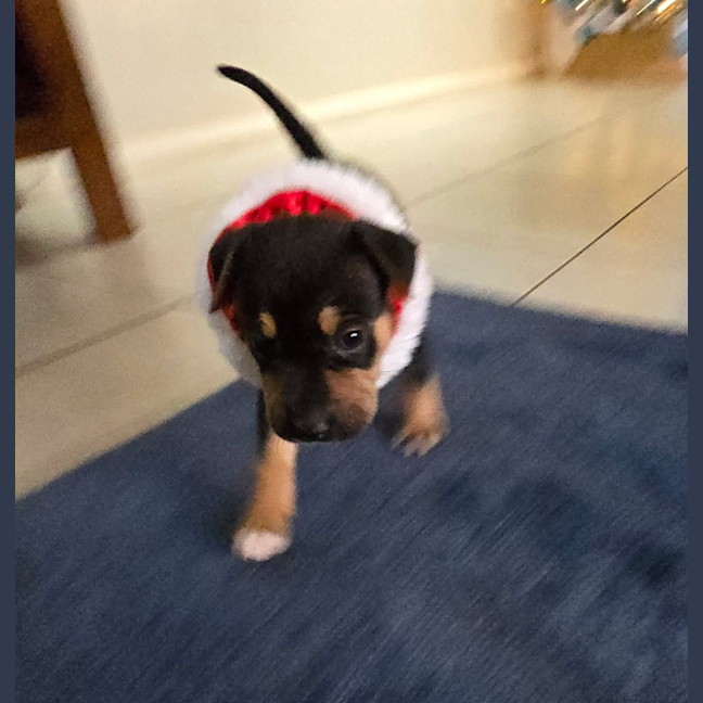Photo of Prada