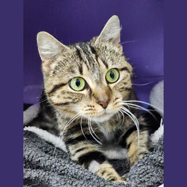 Photo of 😻 Gretchen 6664 😻