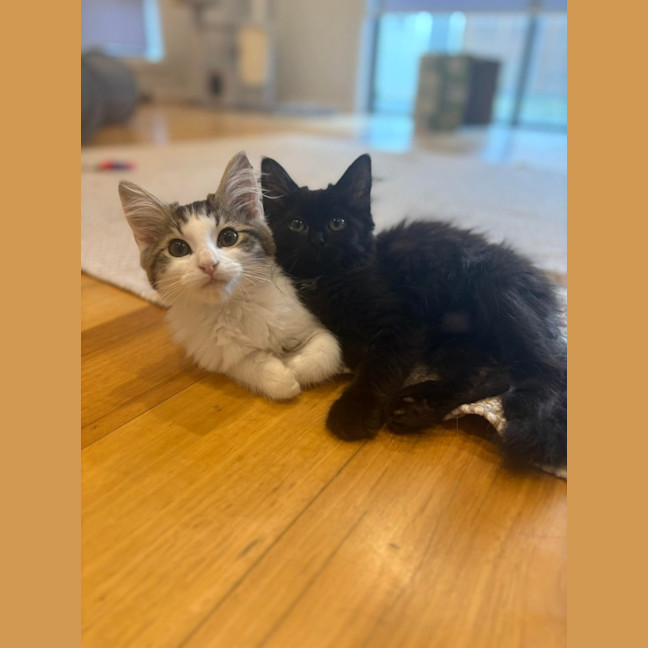 Photo of Orlando And Clem 