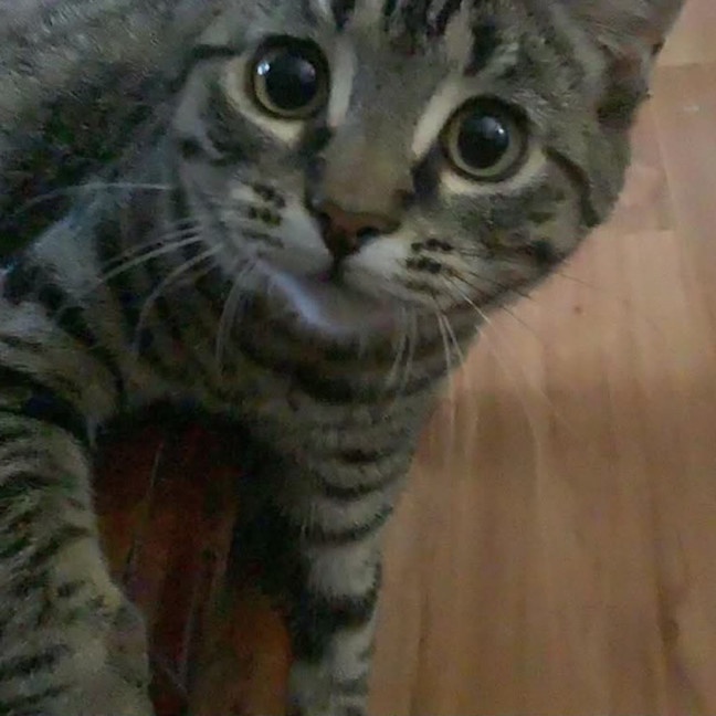 Photo of Minnie