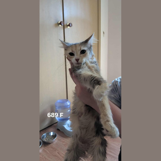 Photo of Sally