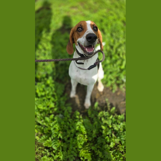 Photo of Wally