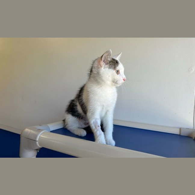 Photo of Buffy