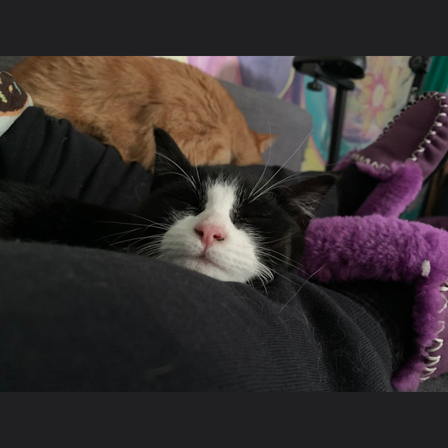 Photo of Maggie