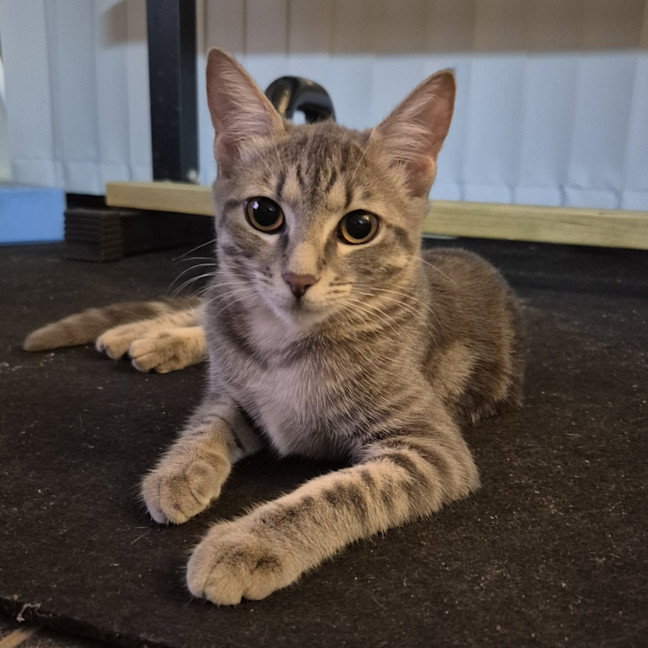 Photo of Lara