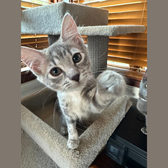 Photo of Jadzia