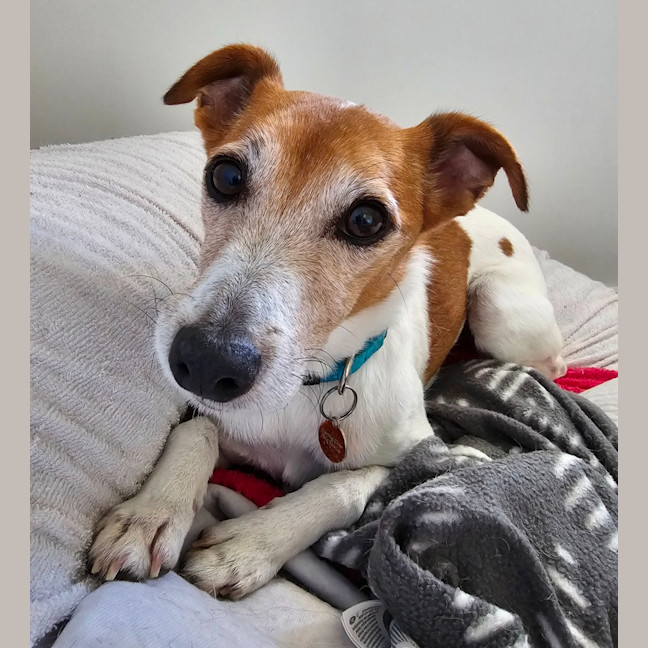 Photo of Abbott & Costello