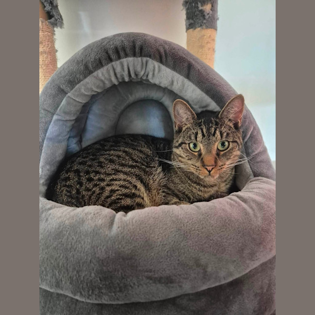 Photo of Benji 