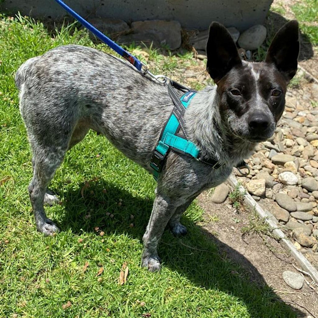 Photo of Peggy