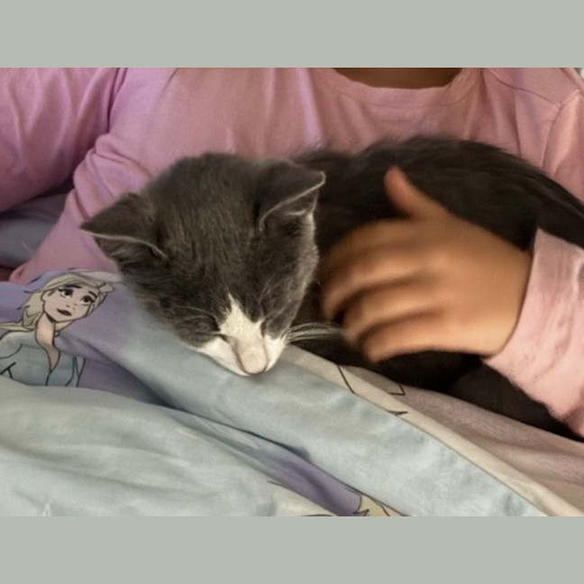 Photo of Percy