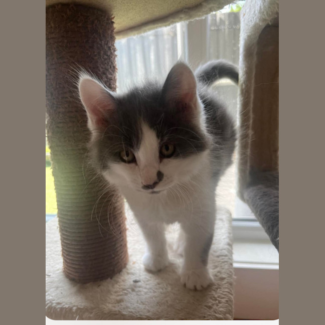 Photo of Mindy And Mork