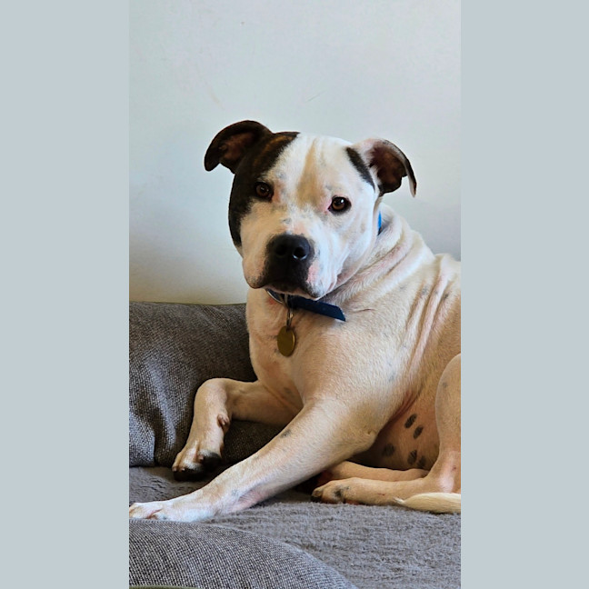 Photo of Frank Costanza