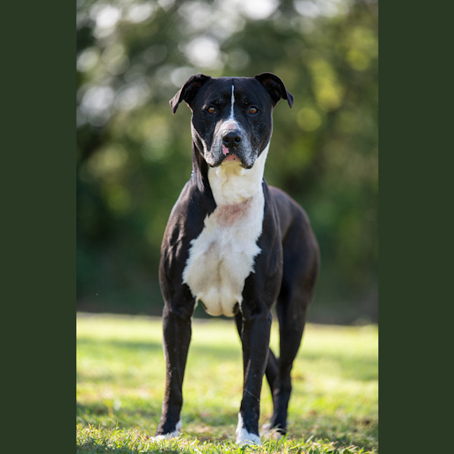 Photo of Jethro