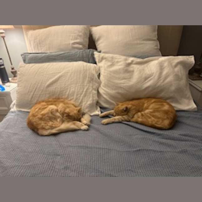 Photo of Eddie & Beryl