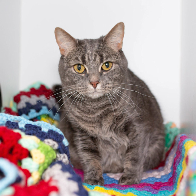 Photo of Luna