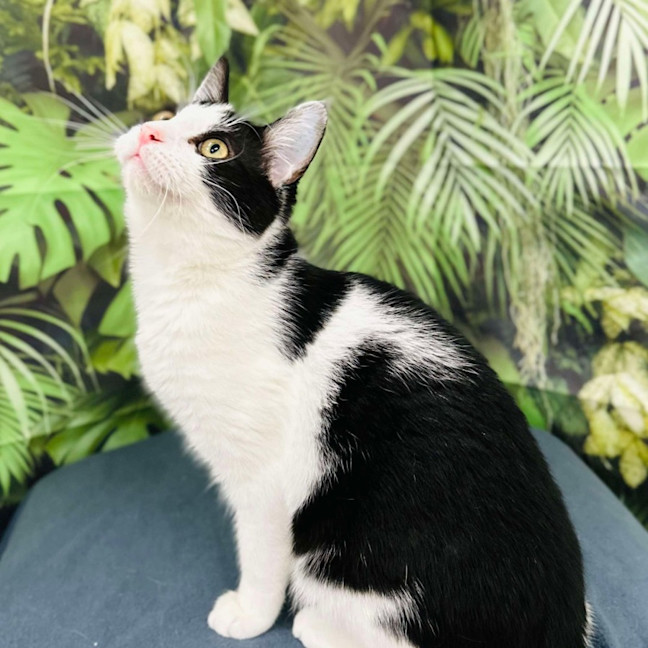 Photo of Asha   Located In Preston