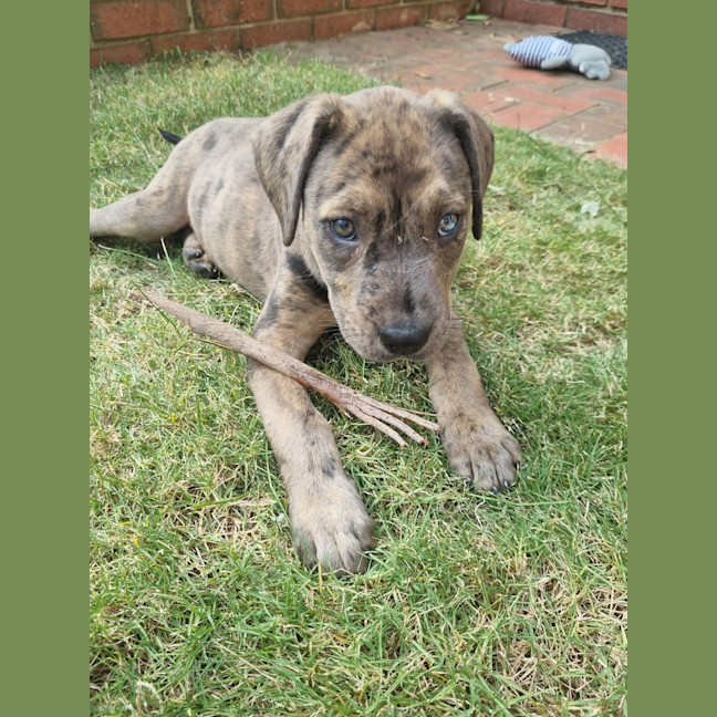 Photo of Freyja