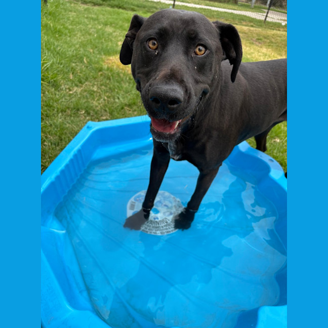 Photo of Phy (Phoebe Buffay)