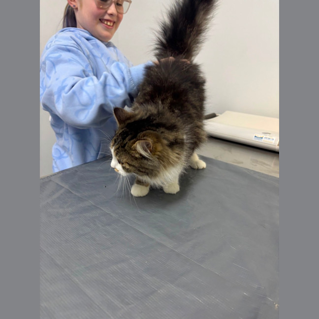 Photo of Darla Meet Me@Petstock Mornington Nepean Hwy