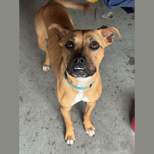 Photo of Dolly