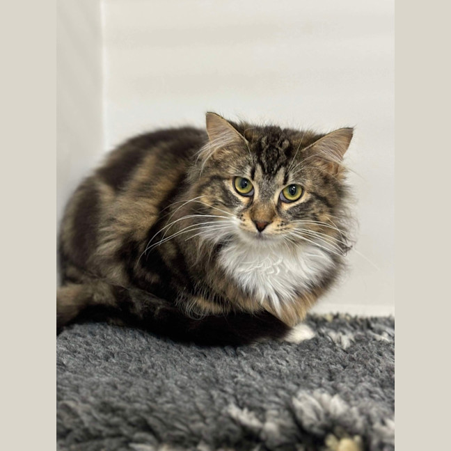 Photo of 🥼 Jesse 5511 🥼