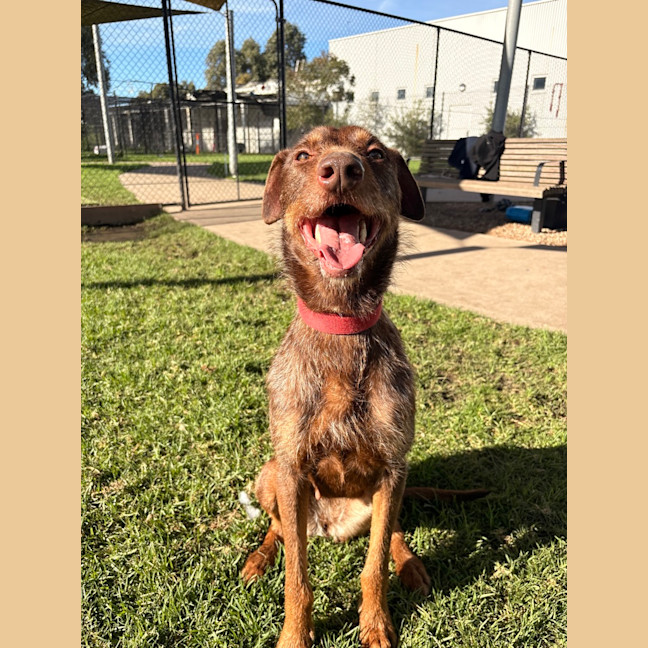 Photo of Rubie