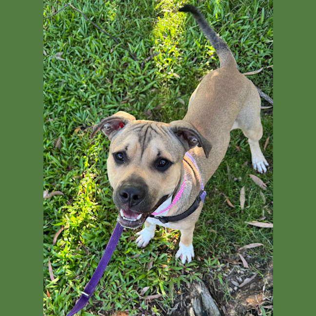 Photo of Tank