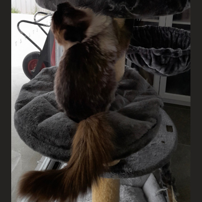 Photo of Charlie