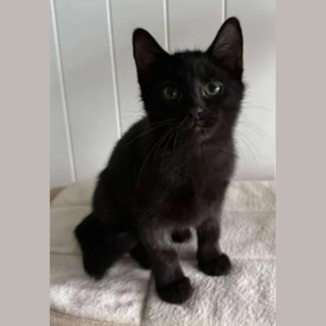Photo of Laverne