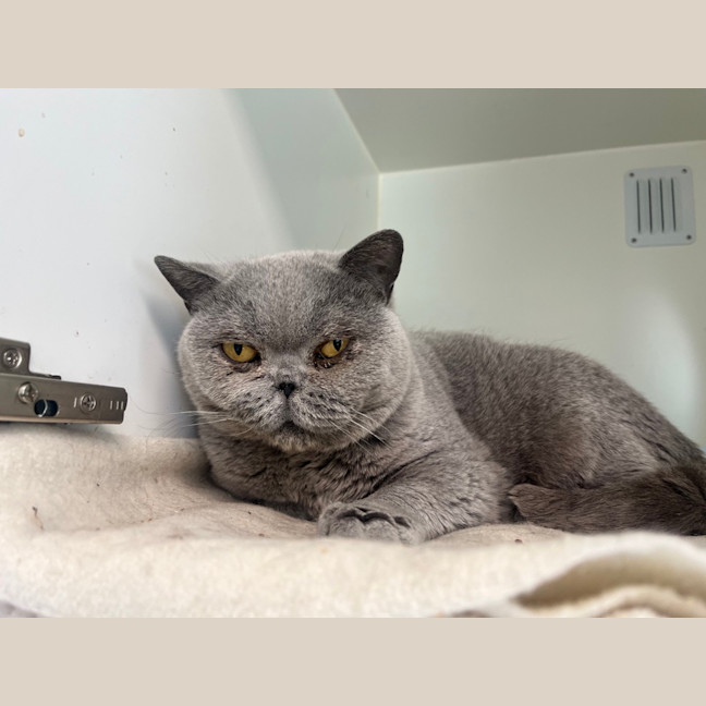 Photo of April Showers