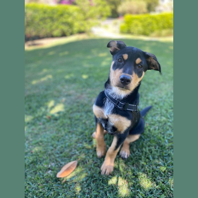 Photo of Stormy