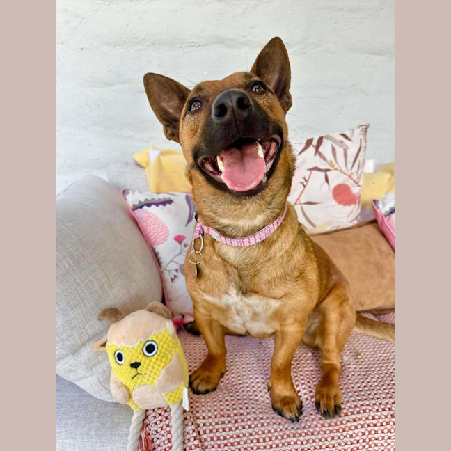 Photo of Menolly