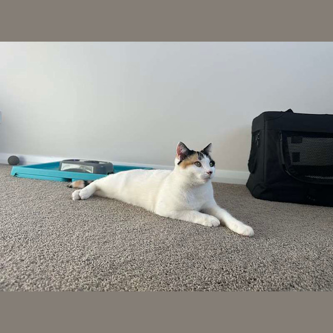 Photo of Yumi