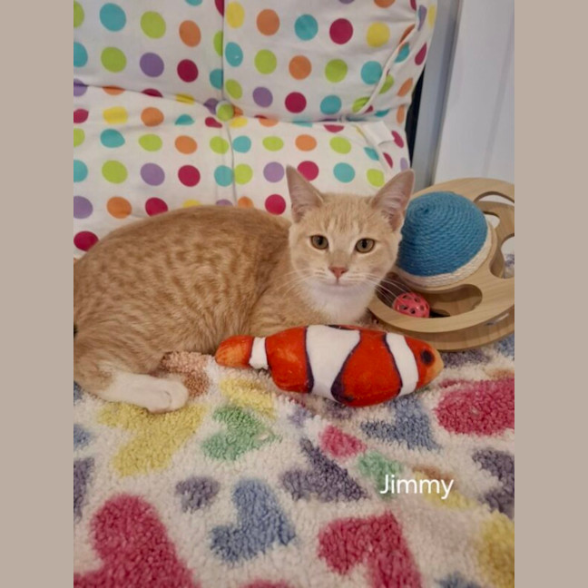 Photo of Jimmy