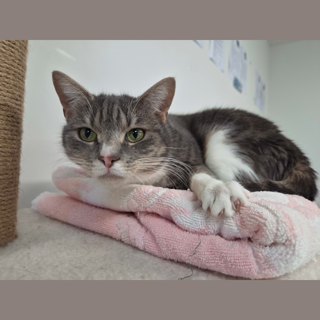 Photo of Tuki