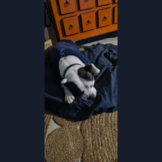 Photo of Benny