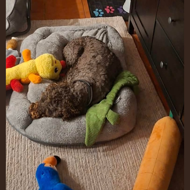 Photo of Mabel