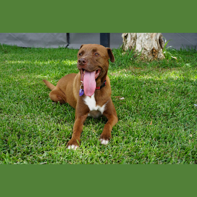 Photo of Wally