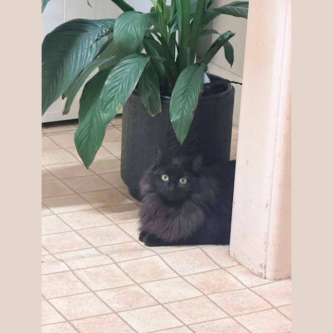 Photo of Dee