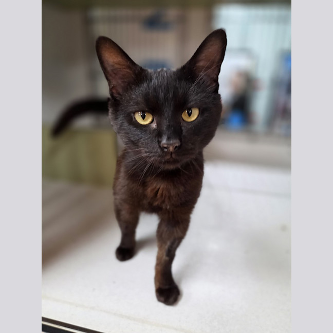 Photo of Elwood