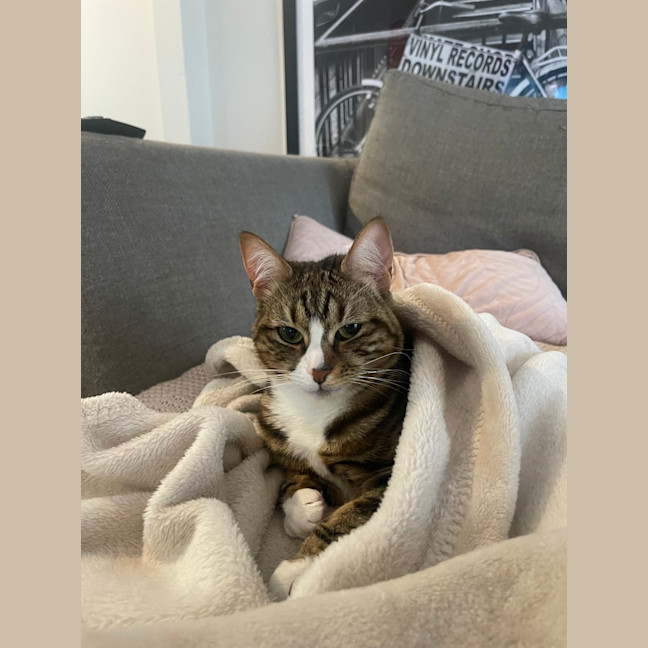 Photo of Little Miss & Yoyo