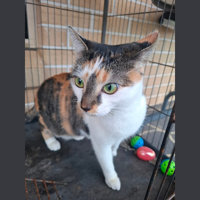 Photo of Hazel