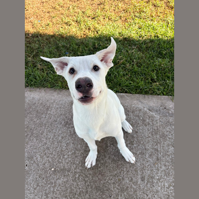 Photo of Esky