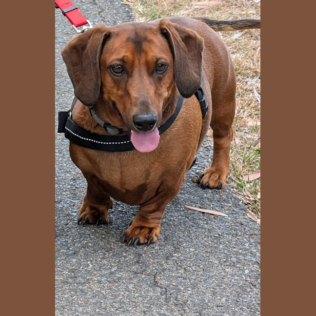 Photo of Harry / Sally