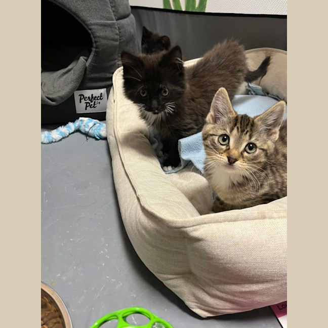 Photo of Buddy Hobbs