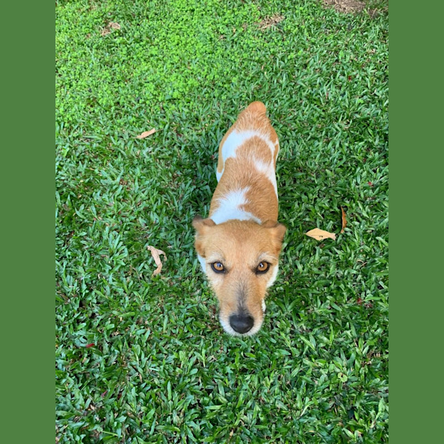 Photo of Luna