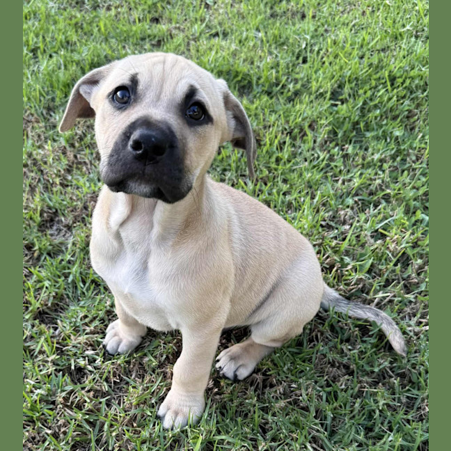 Photo of Jetsam John