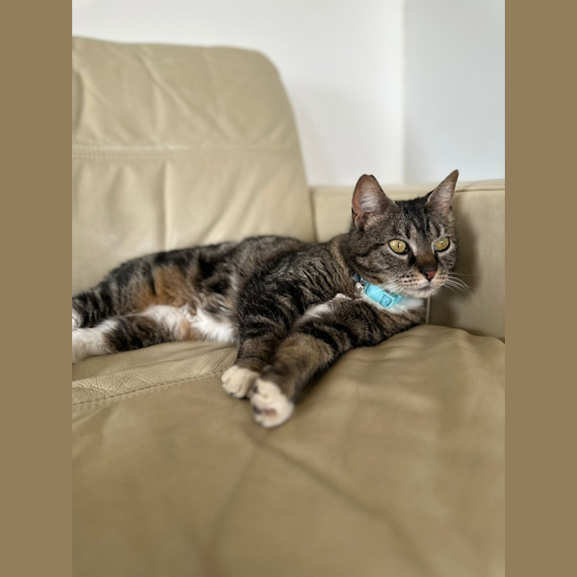 Photo of Boots