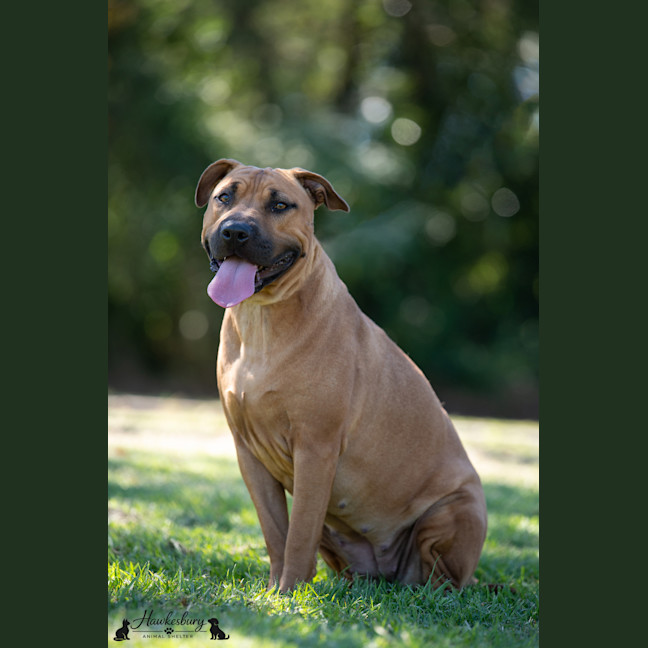 Photo of Shayla